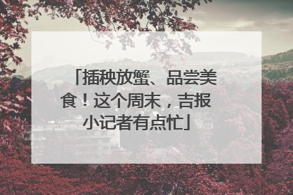 插秧放蟹、品尝美食！这个周末，吉报小记者有点忙