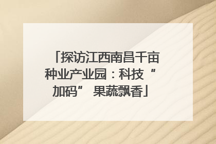 探访江西南昌千亩种业产业园：科技“加码” 果蔬飘香