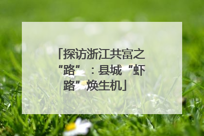 探访浙江共富之“路”：县城“虾路”焕生机