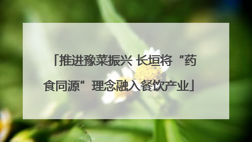 推进豫菜振兴 长垣将“药食同源”理念融入餐饮产业