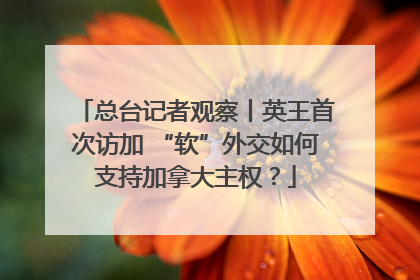 总台记者观察丨英王首次访加 “软”外交如何支持加拿大主权？
