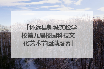 怀远县新城实验学校第九届校园科技文化艺术节圆满落幕