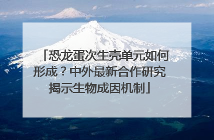 恐龙蛋次生壳单元如何形成？中外最新合作研究揭示生物成因机制