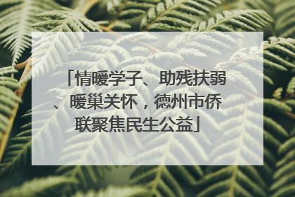 情暖学子、助残扶弱、暖巢关怀，德州市侨联聚焦民生公益