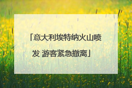 意大利埃特纳火山喷发 游客紧急撤离