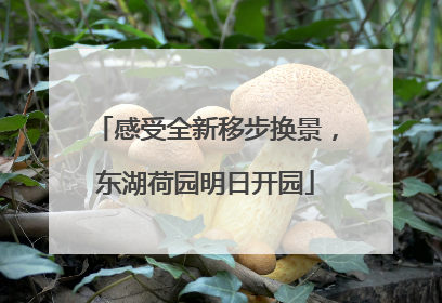 感受全新移步换景，东湖荷园明日开园