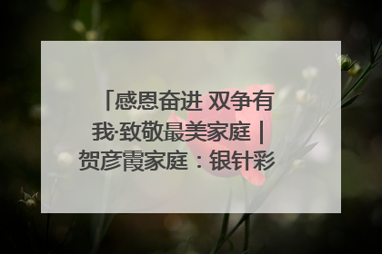 感恩奋进 双争有我·致敬最美家庭｜贺彦霞家庭：银针彩线绣出好日子