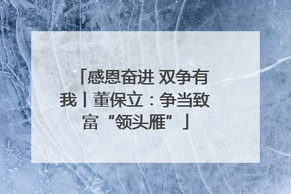 感恩奋进 双争有我丨董保立：争当致富“领头雁”