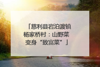 慈利县岩泊渡镇杨家桥村：山野菜变身“致富菜”