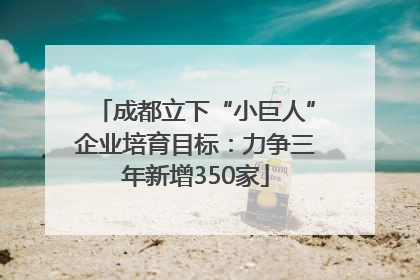 成都立下“小巨人”企业培育目标：力争三年新增350家