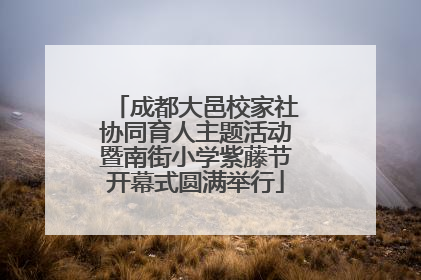 成都大邑校家社协同育人主题活动暨南街小学紫藤节开幕式圆满举行