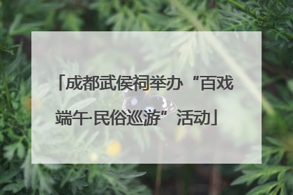 成都武侯祠举办“百戏端午·民俗巡游”活动