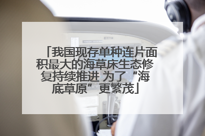 我国现存单种连片面积最大的海草床生态修复持续推进 为了“海底草原”更繁茂