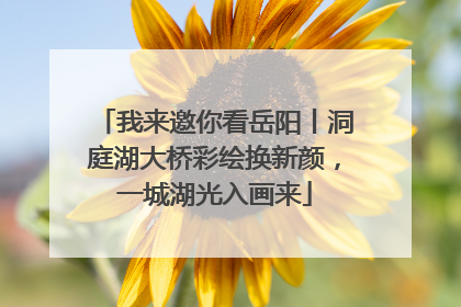 我来邀你看岳阳丨洞庭湖大桥彩绘换新颜，一城湖光入画来