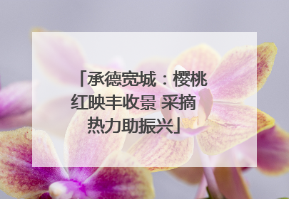 承德宽城：樱桃红映丰收景 采摘热力助振兴