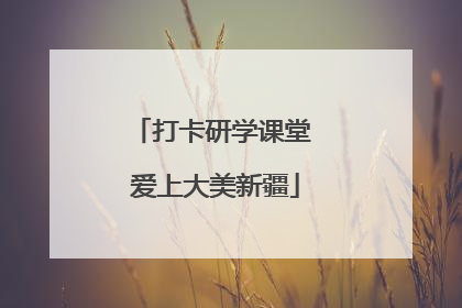打卡研学课堂 爱上大美新疆
