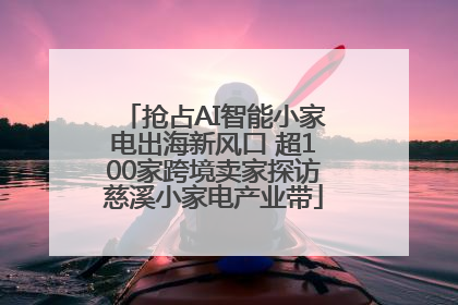 抢占AI智能小家电出海新风口 超100家跨境卖家探访慈溪小家电产业带