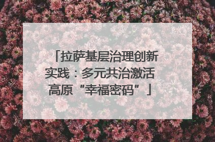 拉萨基层治理创新实践：多元共治激活高原“幸福密码”