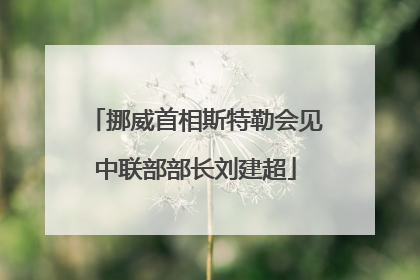 挪威首相斯特勒会见中联部部长刘建超