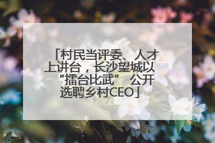 村民当评委、人才上讲台，长沙望城以“擂台比武” 公开选聘乡村CEO