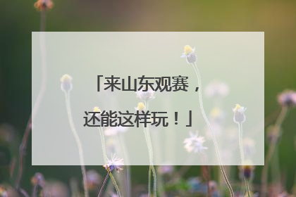 来山东观赛，还能这样玩！