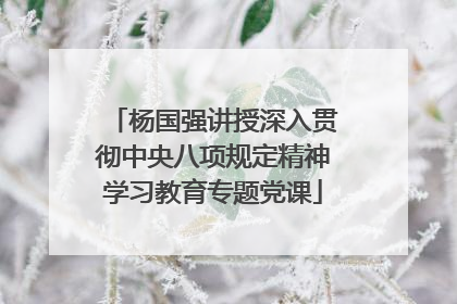 杨国强讲授深入贯彻中央八项规定精神学习教育专题党课