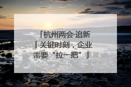 杭州两会·追新丨关键时刻，企业需要“拉一把”
