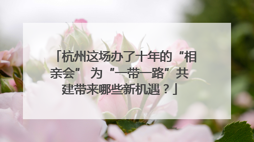 杭州这场办了十年的“相亲会” 为“一带一路”共建带来哪些新机遇？