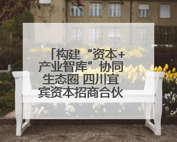构建“资本+产业智库”协同生态圈 四川宜宾资本招商合伙人联盟成立
