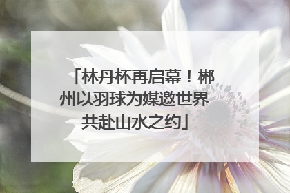 林丹杯再启幕！郴州以羽球为媒邀世界共赴山水之约
