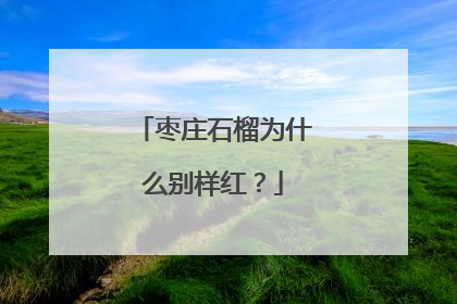 枣庄石榴为什么别样红？