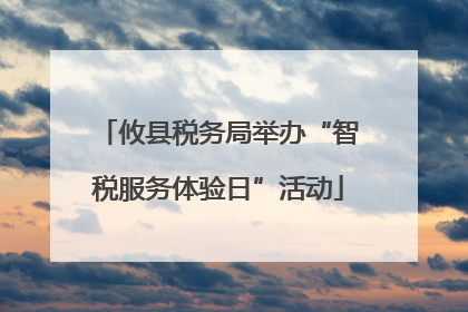攸县税务局举办“智税服务体验日”活动