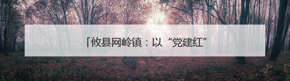 攸县网岭镇：以“党建红”筑牢乡村教育“安全绿”