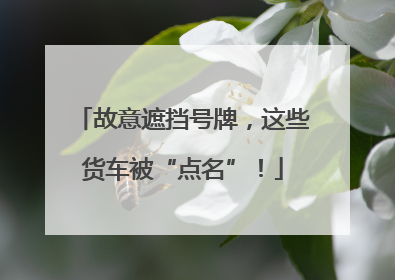 故意遮挡号牌，这些货车被“点名”！