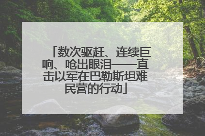 数次驱赶、连续巨响、呛出眼泪——直击以军在巴勒斯坦难民营的行动