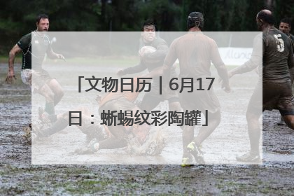 文物日历｜6月17日：蜥蜴纹彩陶罐
