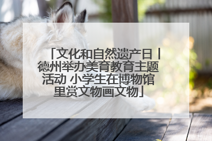 文化和自然遗产日丨德州举办美育教育主题活动 小学生在博物馆里赏文物画文物