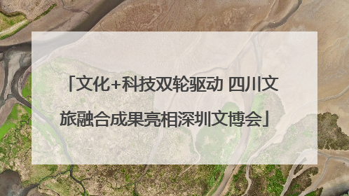 文化+科技双轮驱动 四川文旅融合成果亮相深圳文博会