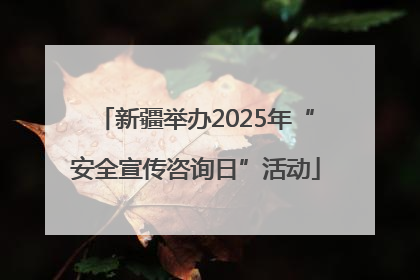 新疆举办2025年“安全宣传咨询日”活动