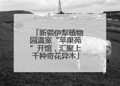 新疆伊犁植物园温室“苹果苑”开馆，汇聚上千种奇花异木
