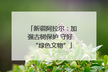 新疆阿拉尔：加强古树保护 守好“绿色文物”