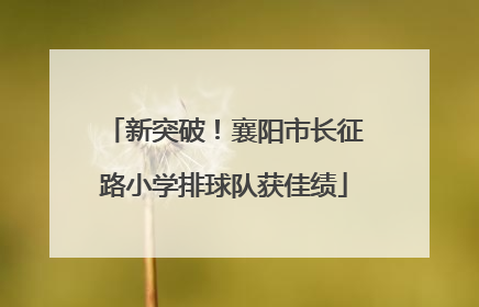 新突破！襄阳市长征路小学排球队获佳绩