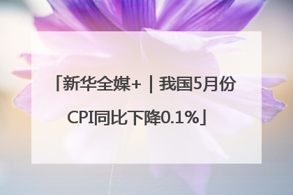 新华全媒+｜我国5月份CPI同比下降0.1%