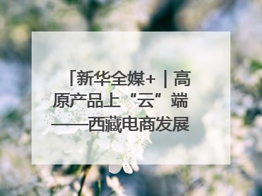 新华全媒+｜高原产品上“云”端——西藏电商发展一线观察