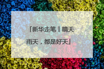 新华走笔丨晴天雨天，都是好天