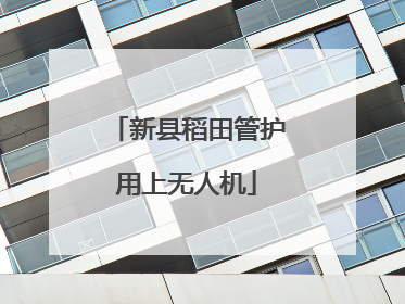 新县稻田管护用上无人机