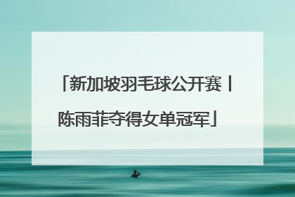 新加坡羽毛球公开赛丨陈雨菲夺得女单冠军