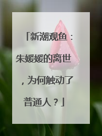 新潮观鱼：朱媛媛的离世，为何触动了普通人？