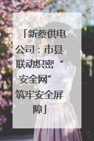 新蔡供电公司：市县联动织密“安全网” 筑牢安全屏障