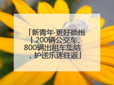 新青年·更好德州丨200辆公交车、800辆出租车集结，护送乐迷往返